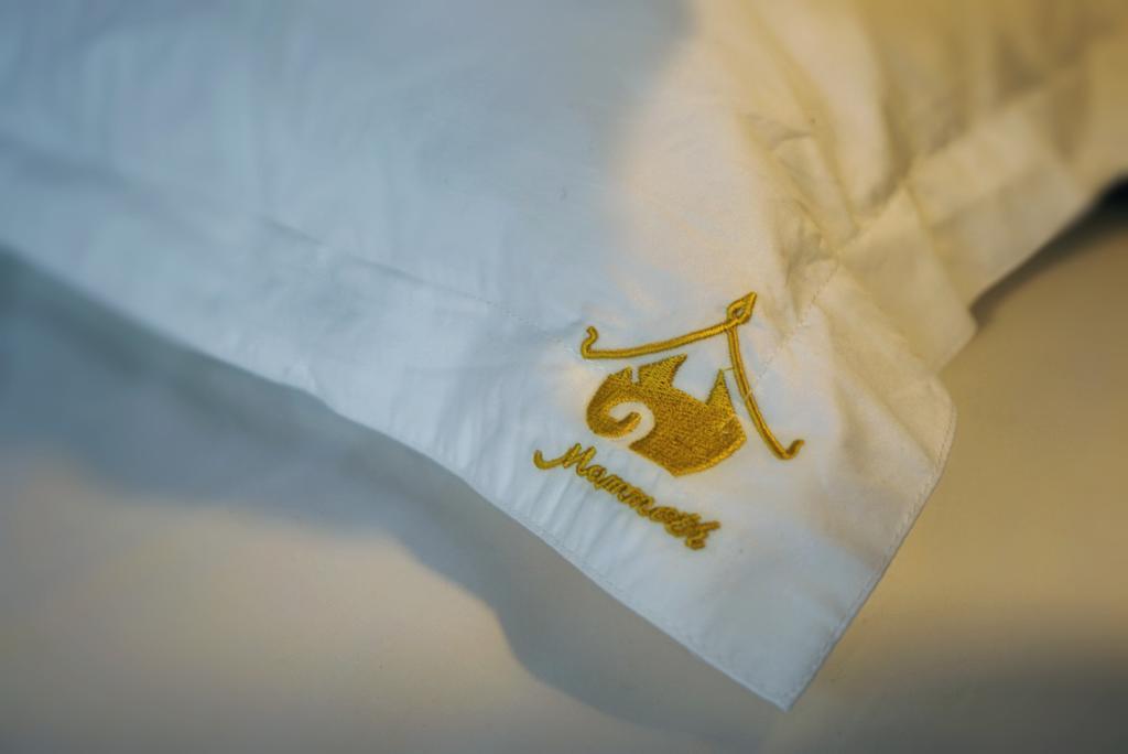 Mammoth Boutique Hotel Τσιάνγκ Μάι Εξωτερικό φωτογραφία