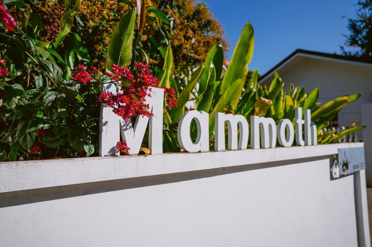 Mammoth Boutique Hotel Τσιάνγκ Μάι Εξωτερικό φωτογραφία